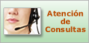 Atenci&oacute;n de Consultas