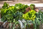 2do Congreso Provincial de Agroecología 2do Congreso Provincial de Agroecología