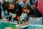 Proyectos y Acciones de Extensión