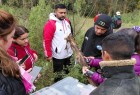Extensión: finalizaron cursos de acompañamiento a prácticas formativas en Vientos de Libertad